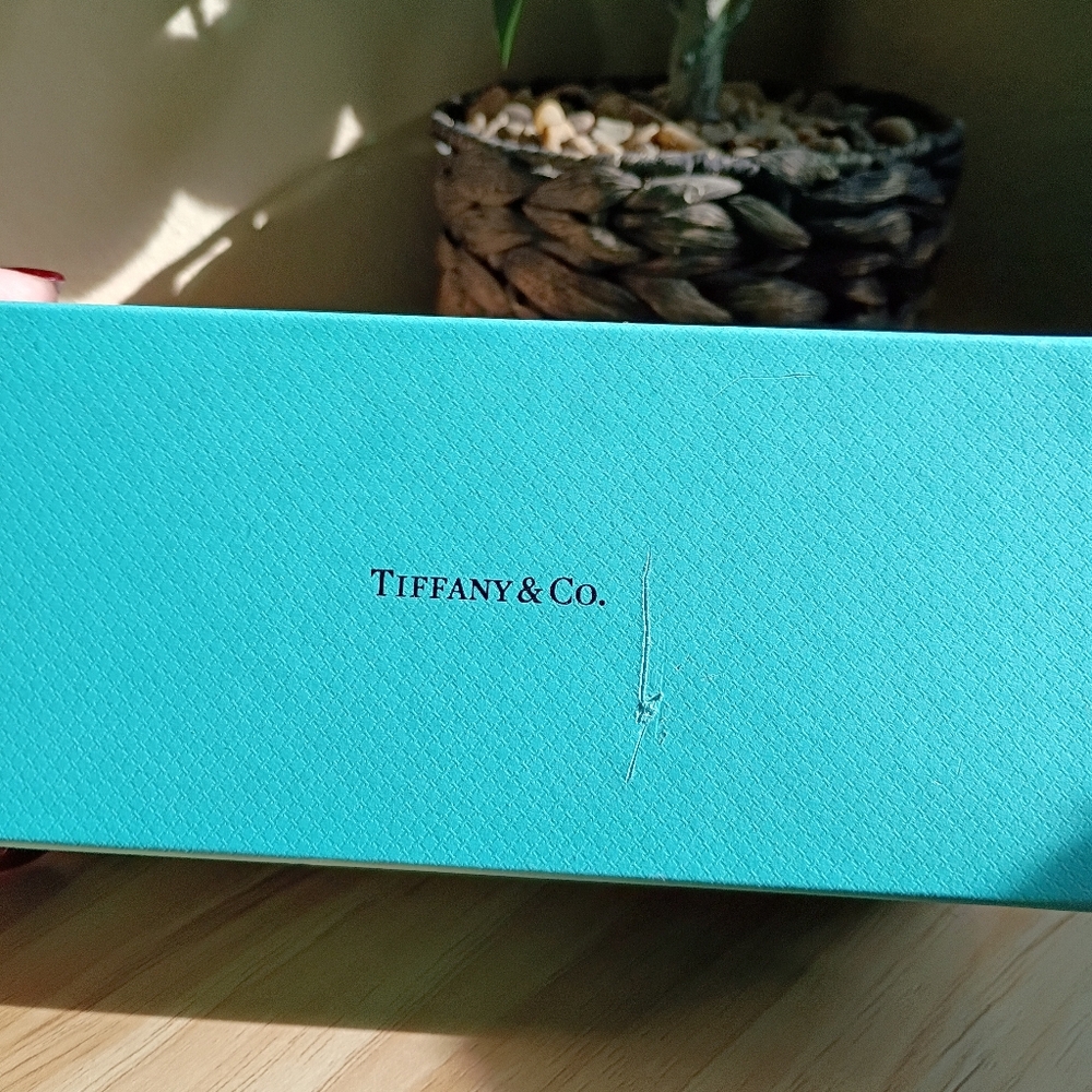 Tiffany & Co. Blue Eyeglasses Case - Picture 14 of 15